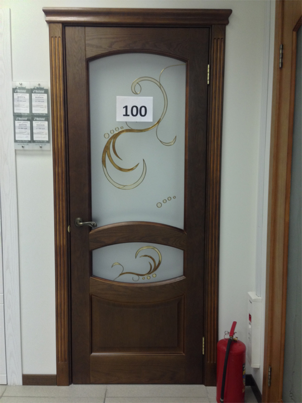 Дверь 100