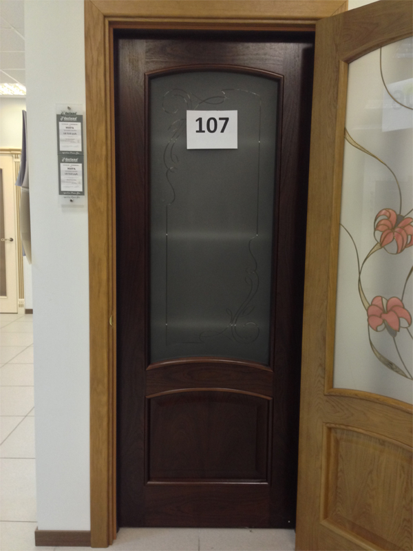 Дверь 107