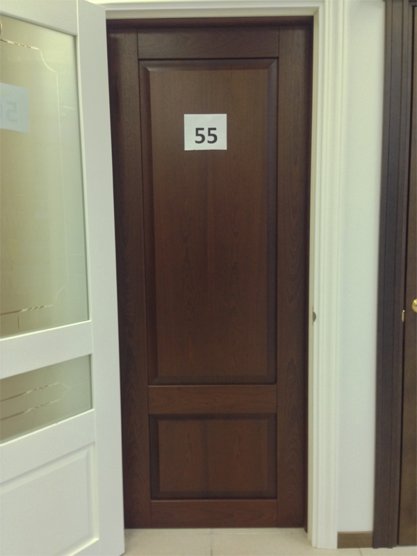 Дверь 55