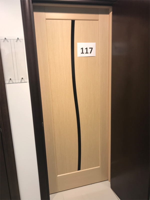 Дверь 117