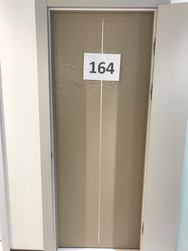 Дверь 164