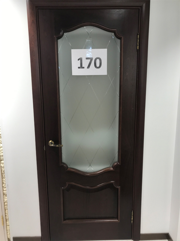 Дверь 170
