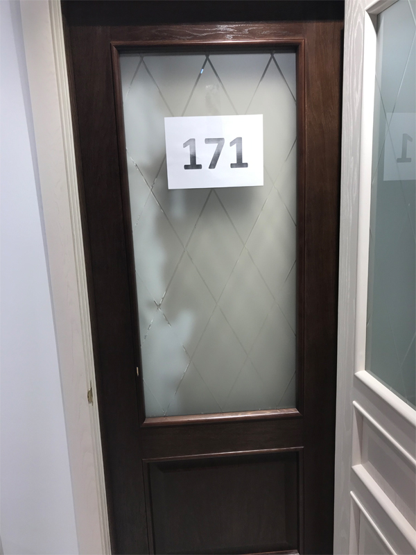 Дверь 171