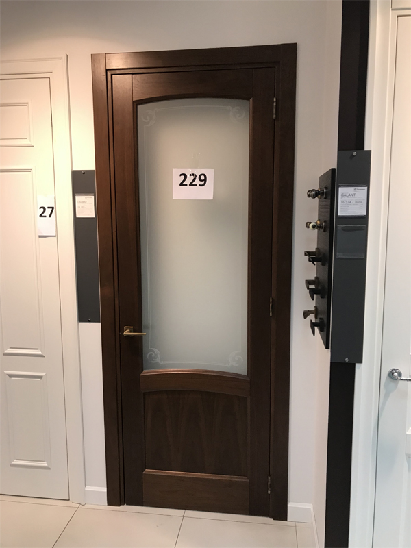Дверь 229