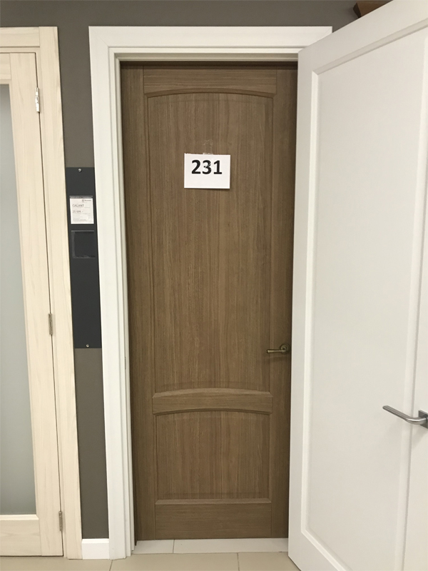 Дверь 231