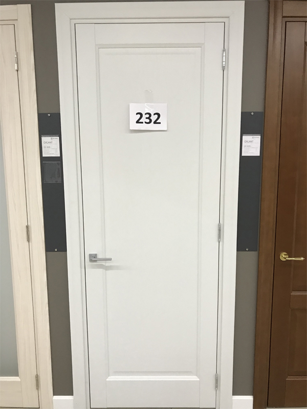 Дверь 232