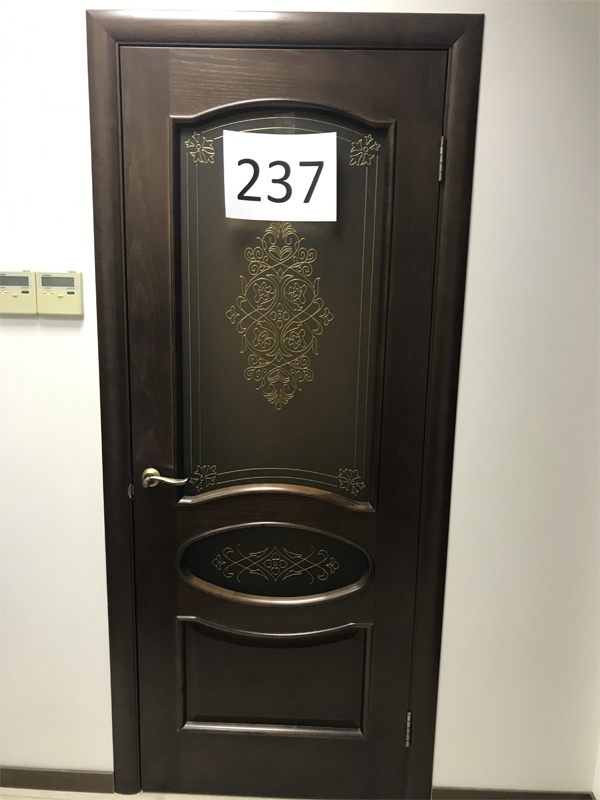 Дверь 237