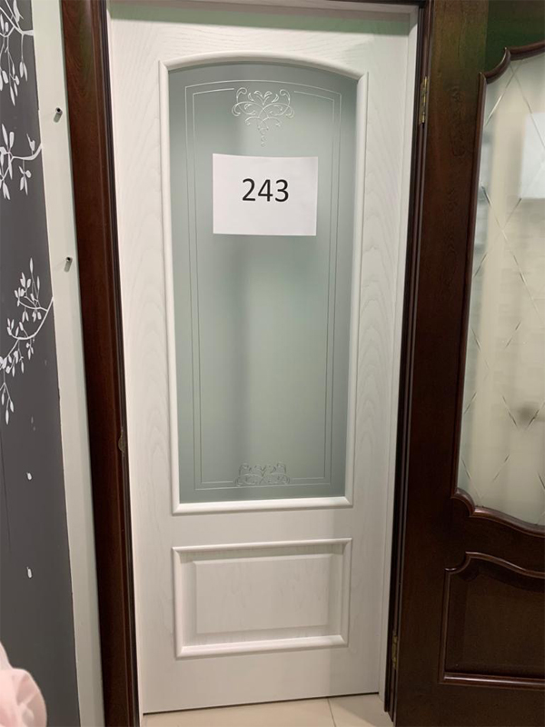 Дверь 243